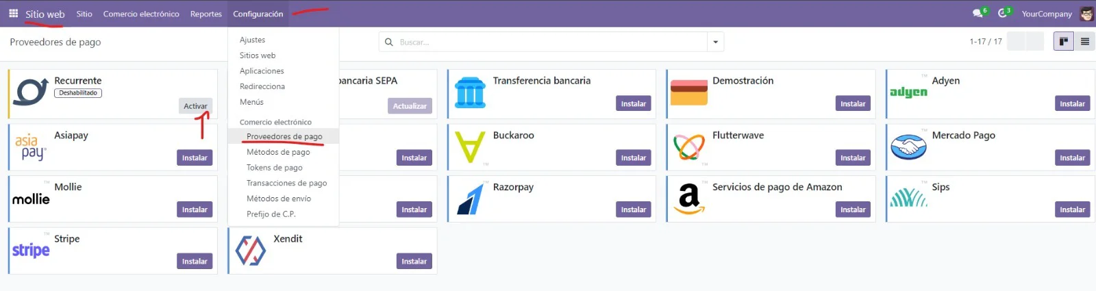 Proveedores de pago en el módulo Sitio Web de Odoo con el botón Activar de Recurrente señalado