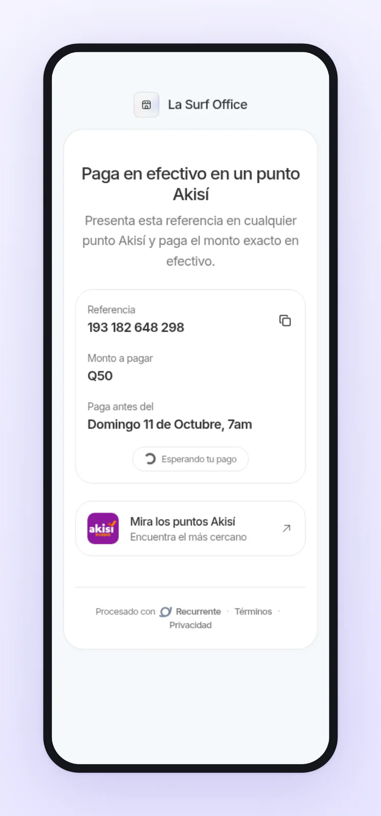 Referencia, monto y vencimiento antes de pagar en un punto Akisí